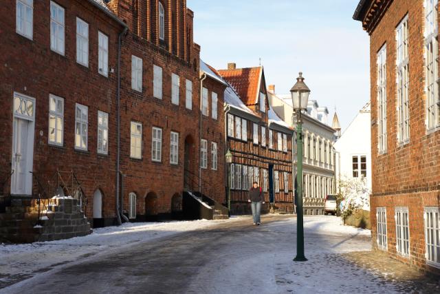 Viborg midtby (domkirkekvarteret)